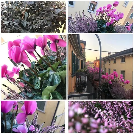 Bed & Breakfast Veronantica B&B